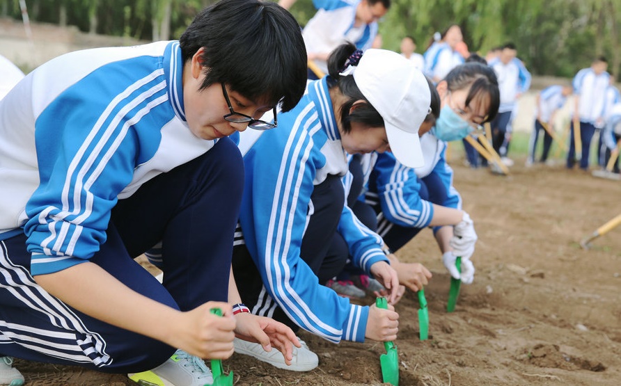 這一課:向土地“學(xué)習(xí)”