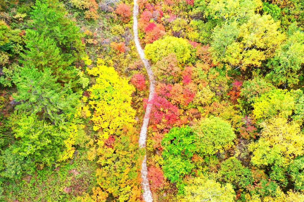 二龍什臺:漫山遍野披彩妝