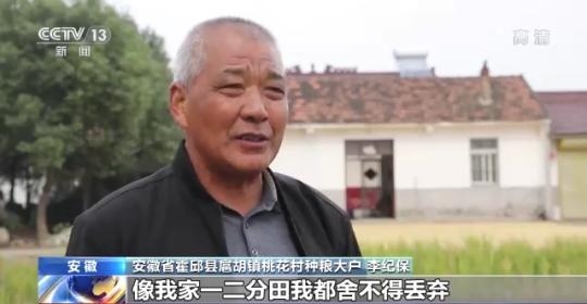 十八連豐！秋收近九成 我國糧食產(chǎn)能穩(wěn)步提升