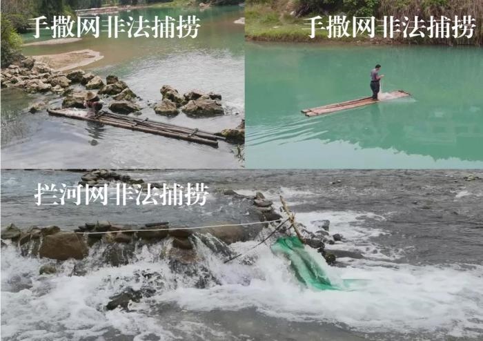 2021年9—10月，前期暗查發(fā)現(xiàn)，保護(hù)區(qū)核心區(qū)內(nèi)非法捕撈行為十分猖獗