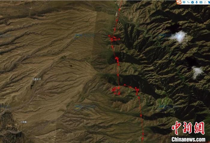 圖為雪豹故地重游來到放歸地的足跡?！?nèi)蒙古賀蘭山國家級(jí)自然保護(hù)區(qū)供圖