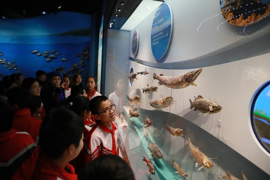 1612668139114674.jpg A5fg-hryfqhm4360765.jpg