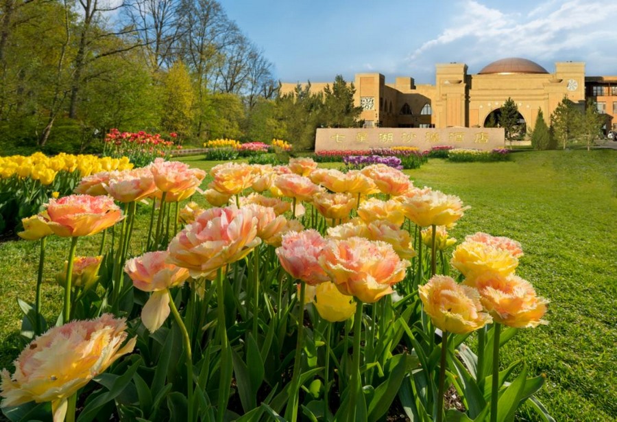 1619510801229532.png 圖片5.png