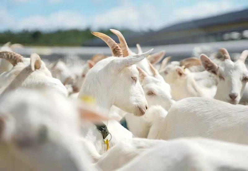 1638003690353032.jpg 微信圖片_20211127165925.jpg