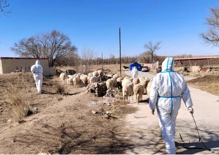 1645757599389480.png 武川縣上禿亥鄉(xiāng)下圪奔村黨員先鋒隊(7)(1)2142.png