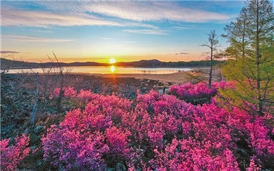 1653291275336938.jpg 00300565471_cf18d7e9.jpg