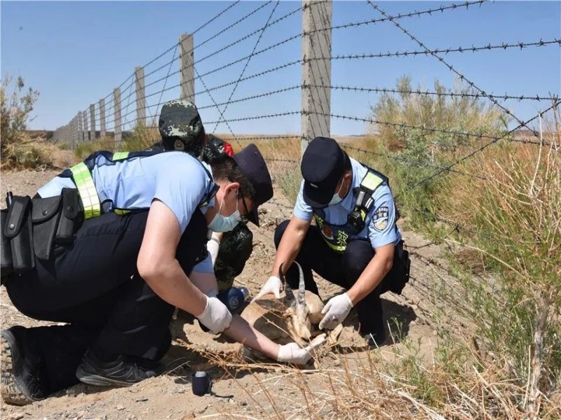 1657852677271186.jpg 微信圖片_20220715103722.jpg