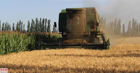 1658911468138256.jpeg 66997e9a51a725d1b27d92a271a01cce.jpeg