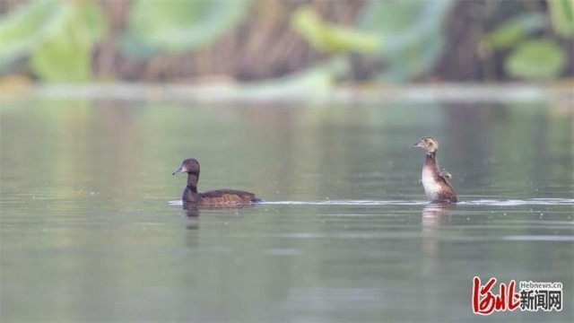 1660028587446669.jpg W020220808548516092447.jpg