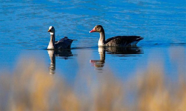 1662607149948850.jpg W020220907494519880246.jpg