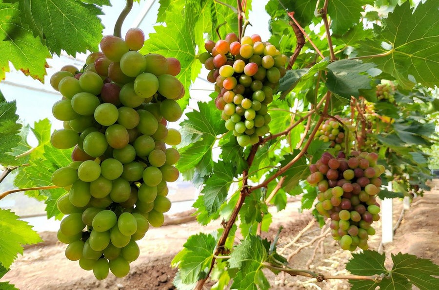 1664158781715489.jpg 微信圖片_20220926101131.jpg