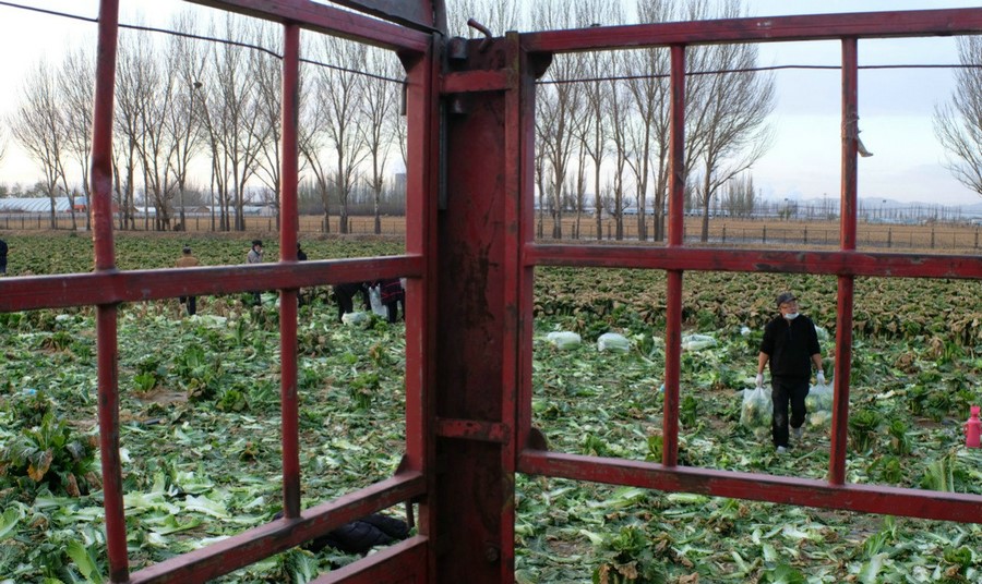 1667662515115462.jpg 微信圖片_20221105231406.jpg