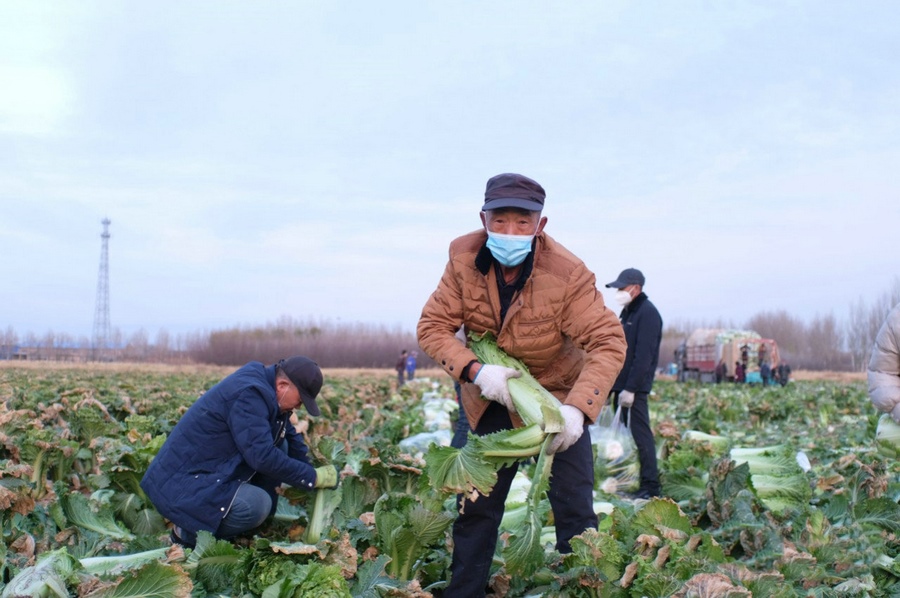 1667662544778875.jpg 微信圖片_20221105231417.jpg