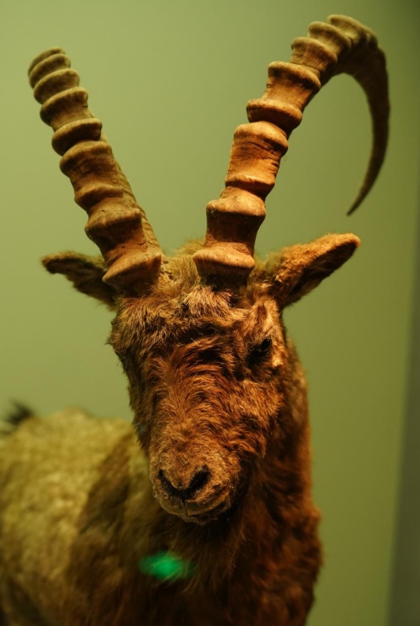 1685413688635837.png 圖片1.png