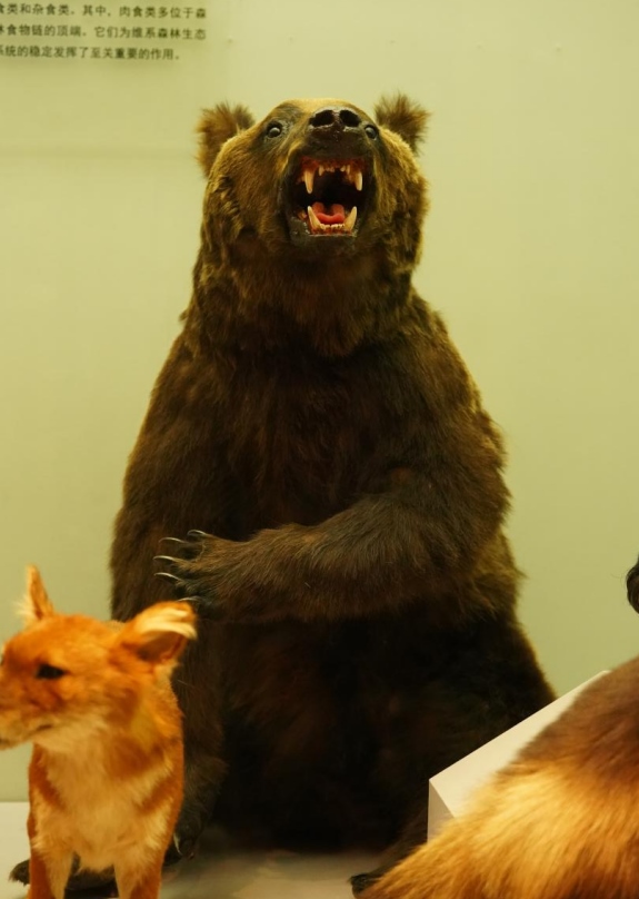 1685417272137594.png 圖片12.png