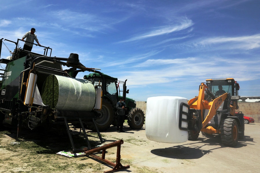 1685890414264172.jpg 7O5A5936.JPG