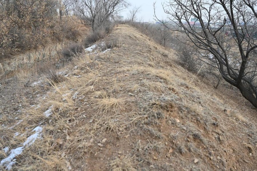 1701183254934219.png 圖片4.png