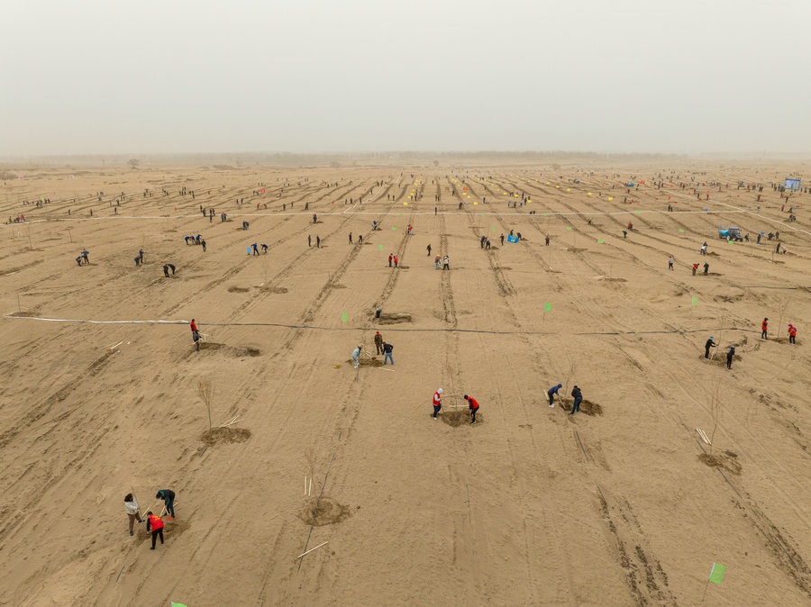 1713318142130171.jpg 在高力板鎮(zhèn)花道卜和沙木嘎嘎查治理區(qū),廣大干部群眾手植新綠,播種希望 (攝影:包寶音德力格爾).JPG