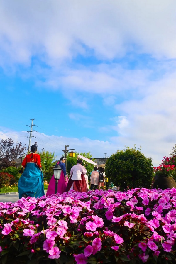 1714022878600336.png 11.png