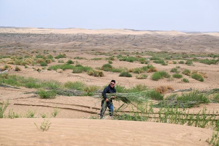 1721113446866272.jpg _K4I9674(2).JPG