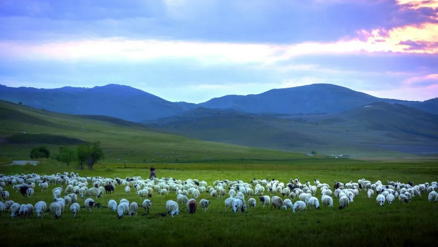 1722925083124620.jpg 640 (6).jpg