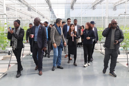 1727084999939168.png 北京大學“東方獎學金”學員參訪團在鄂爾多斯為“東方友誼林”種下新樹苗189.png