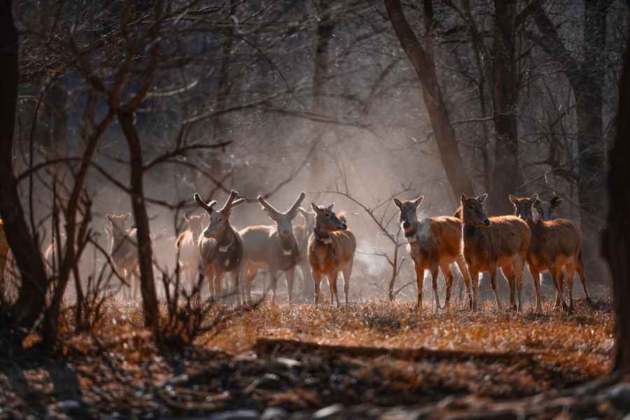 1740123062749183.png 圖片1.png