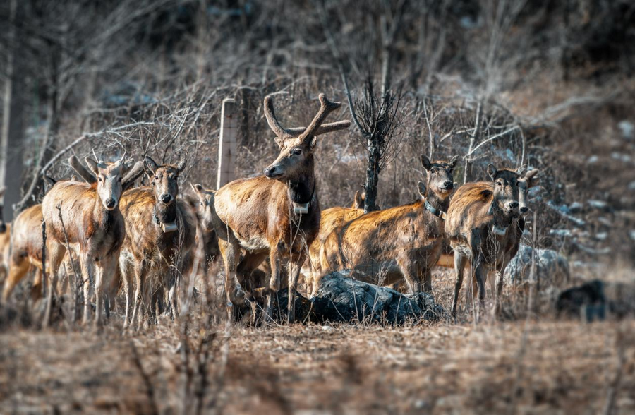 1740123144124990.png 圖片4.png