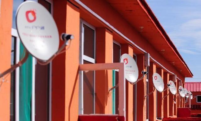 1742784716159045.jpg 613129.jpg