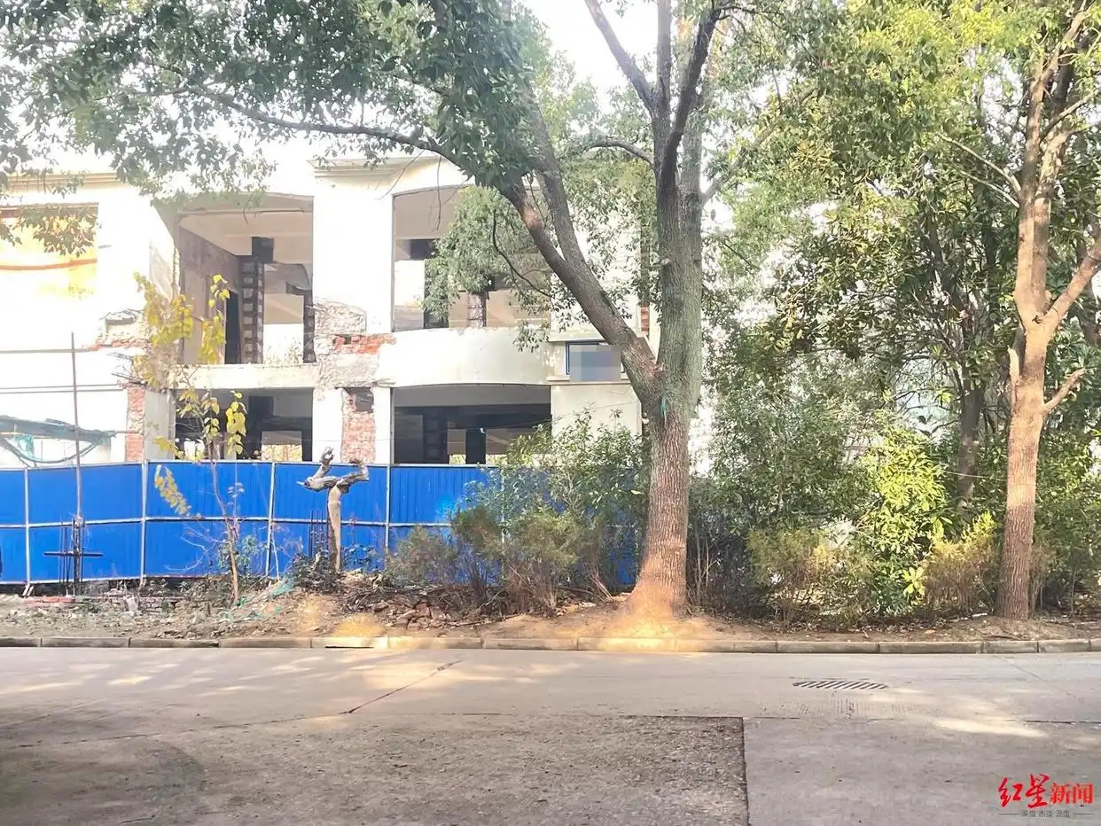 1742809984119348.jpg 8694a4c27d1ed21bda976c995a584ccb51da3f32.webp.jpg