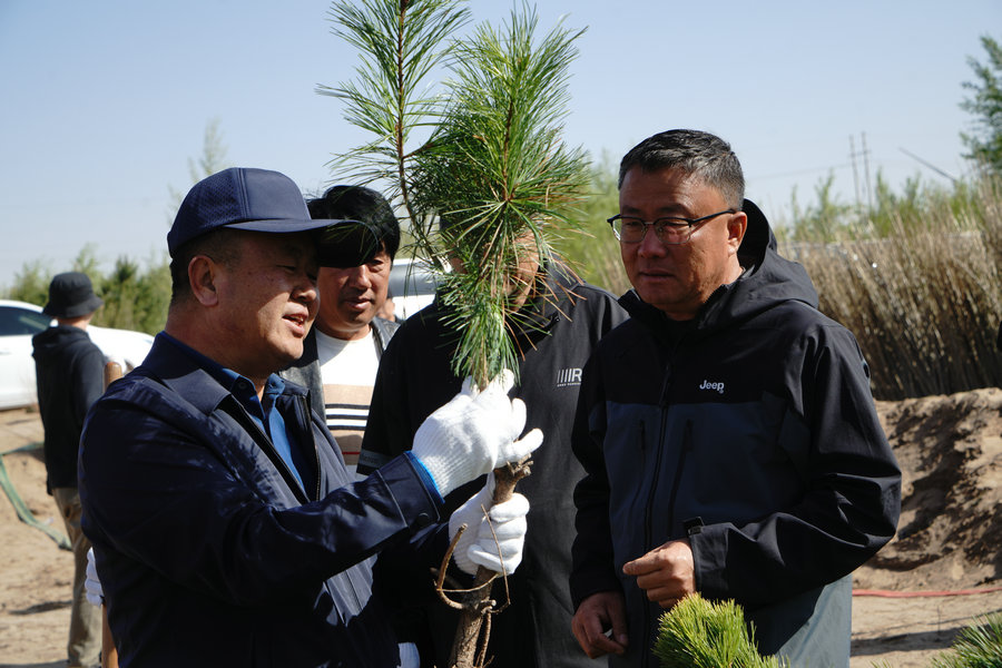 1746503353101963.jpg _DSC2271.JPG