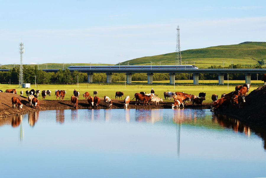 1751249182112493.jpg 微信圖片_20250630094519.jpg