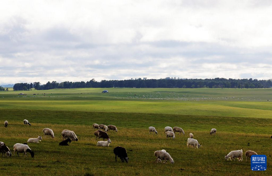 1754375797108031.jpg 20250804cbf74faacd9b4b2f964ec61d29ed561b_20250804c0048355b4834dd9b11d17d96ceef26a.jpg