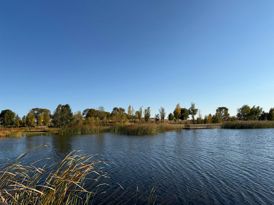 1763005510794926.jpg 微信圖片_20241022095608.jpg