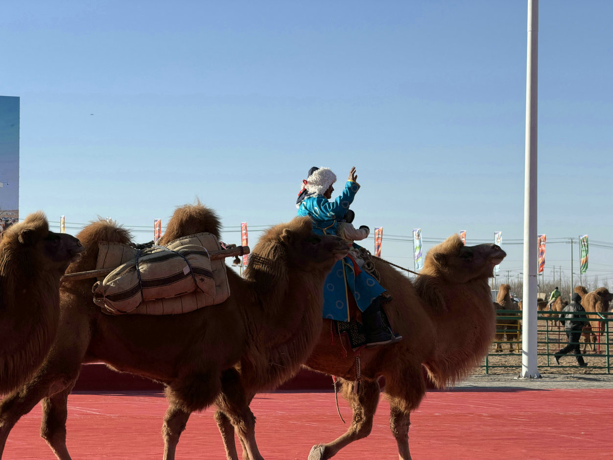 1766805796121616.jpg 駝2.jpg