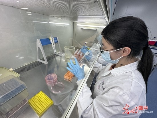 【高質(zhì)量發(fā)展看中國】基因遞送排頭兵 可實現(xiàn)“個性化”定制