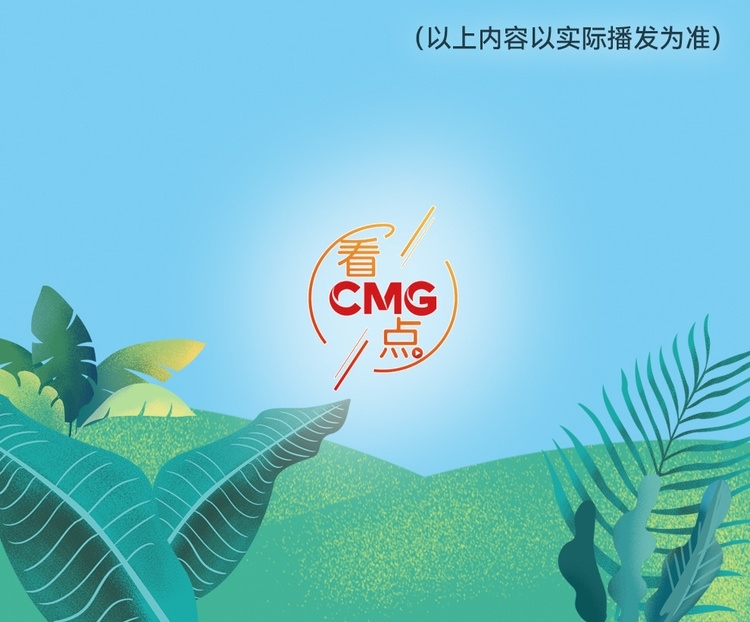 總臺周看點，來了！