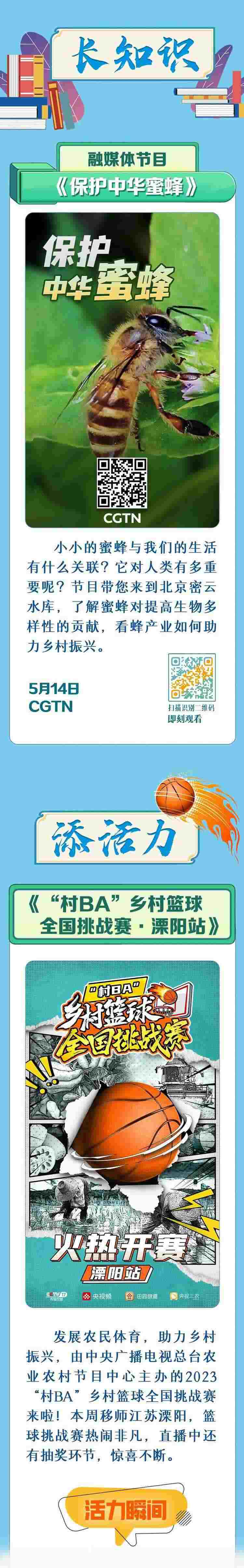 總臺周看點，來了！