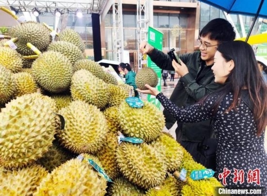 圖為廣西南寧市民在選購榴蓮。黃艷梅 攝