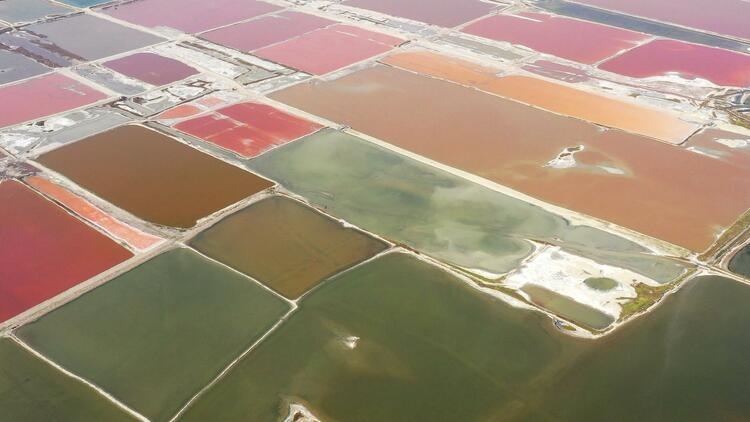 鑒往知來，跟著總書記學(xué)歷史丨走進(jìn)一座博物館，尋根五千年中華文明