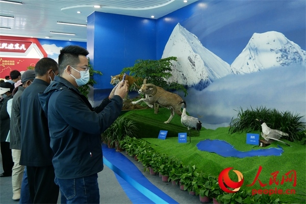 6月17日，觀眾正在觀展。人民網(wǎng) 韋衍行攝