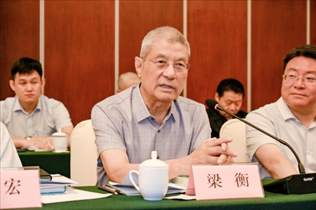 中國林業(yè)生態(tài)作家協(xié)會(huì)名譽(yù)主席梁衡發(fā)言。主辦方供圖