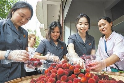 志愿者和村民一起將摘下的楊梅裝進(jìn)食品盒里。