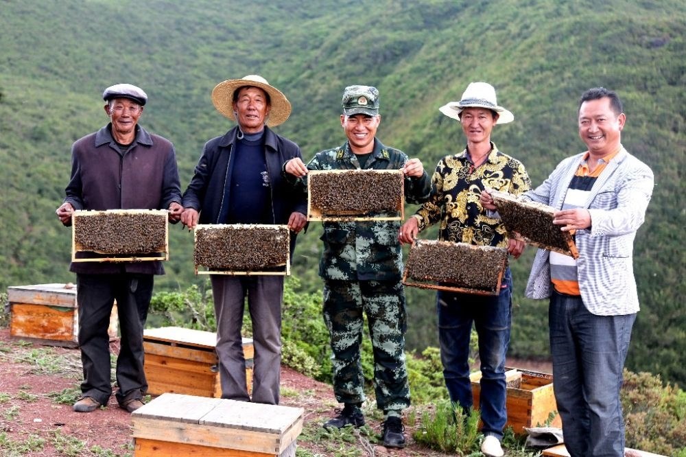 ↑武警四川總隊涼山支隊精準(zhǔn)幫扶昭覺縣梭梭拉打村發(fā)展養(yǎng)蜂產(chǎn)業(yè)，總隊駐村扶貧干部布哈（中）和村民一同展示豐收成果（2019年6月12日攝）。新華社發(fā)（楊劍 攝）