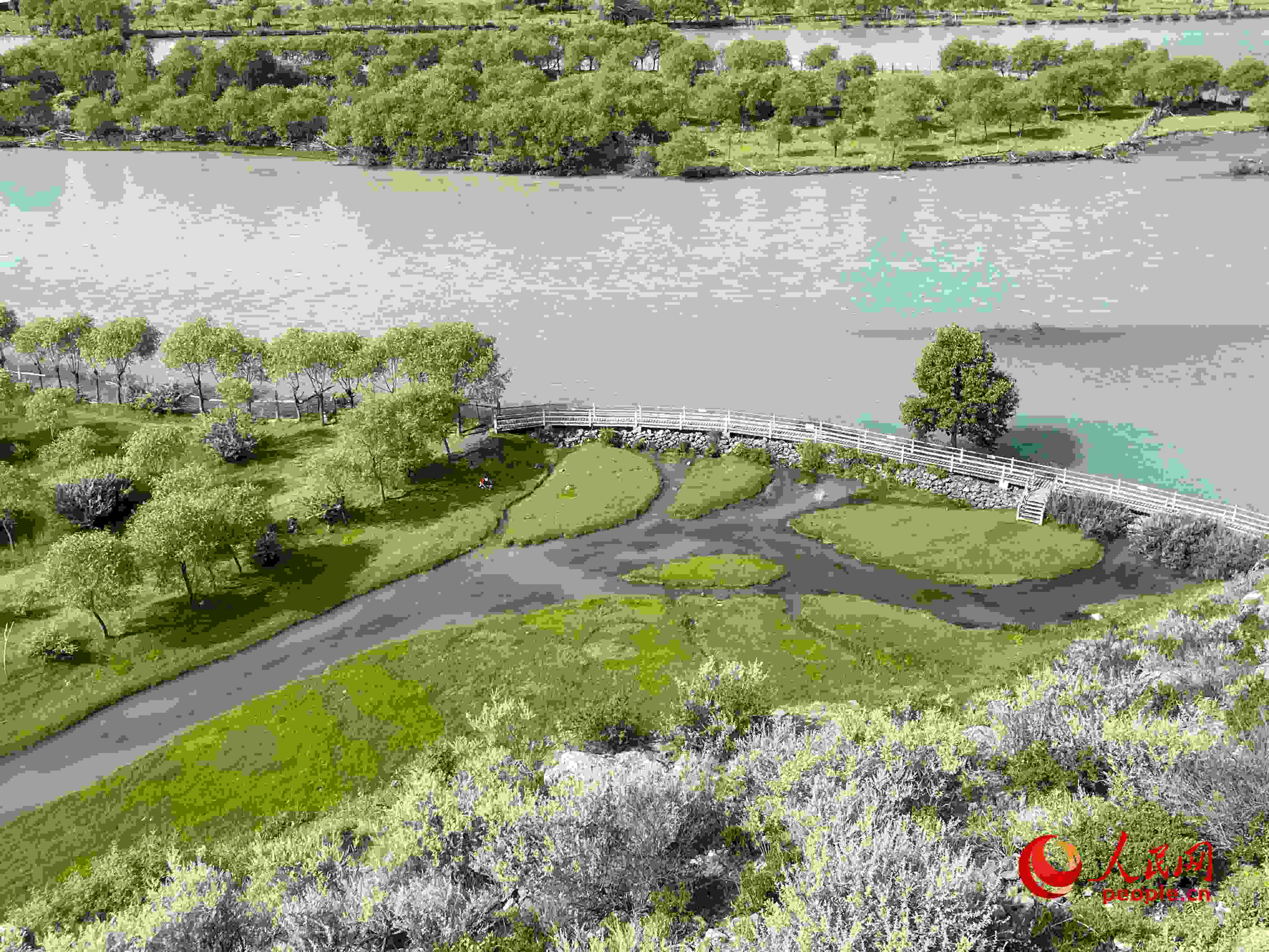 夏日的雅尼國家濕地公園生機盎然，如詩如畫。人民網(wǎng) 周靜圓攝