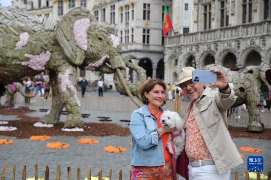 8月11日，觀眾在比利時(shí)布魯塞爾“鮮花時(shí)光”展覽上拍照。新華社記者 趙丁喆攝