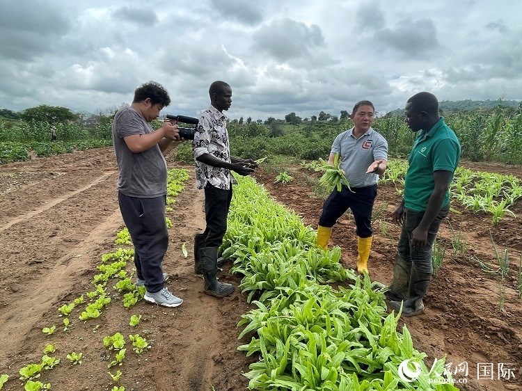 人民網(wǎng)記者走進(jìn)尼日利亞農(nóng)業(yè)技術(shù)示范中心。人民網(wǎng)記者 趙艷紅攝