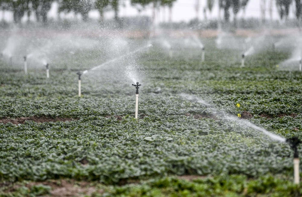 2023年5月25日，在寧夏銀川市永寧縣望洪鎮(zhèn)宋澄村冷涼蔬菜種植基地，小型噴灌節(jié)水設(shè)備在進(jìn)行噴灌作業(yè)。新華社記者 馮開華 攝