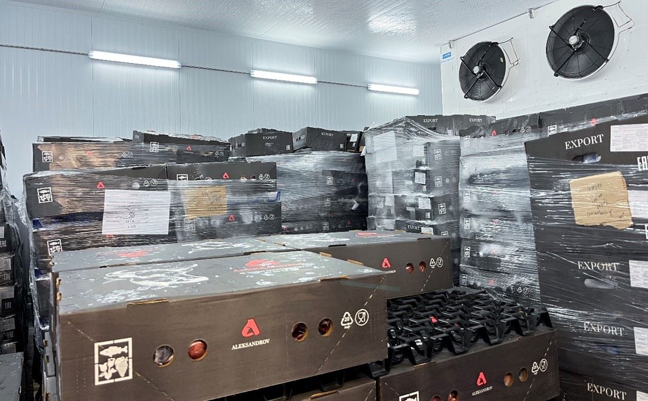 恒溫冷庫中，包裝好的牛肉等待發(fā)往中國。人民網(wǎng)記者 朱虹攝