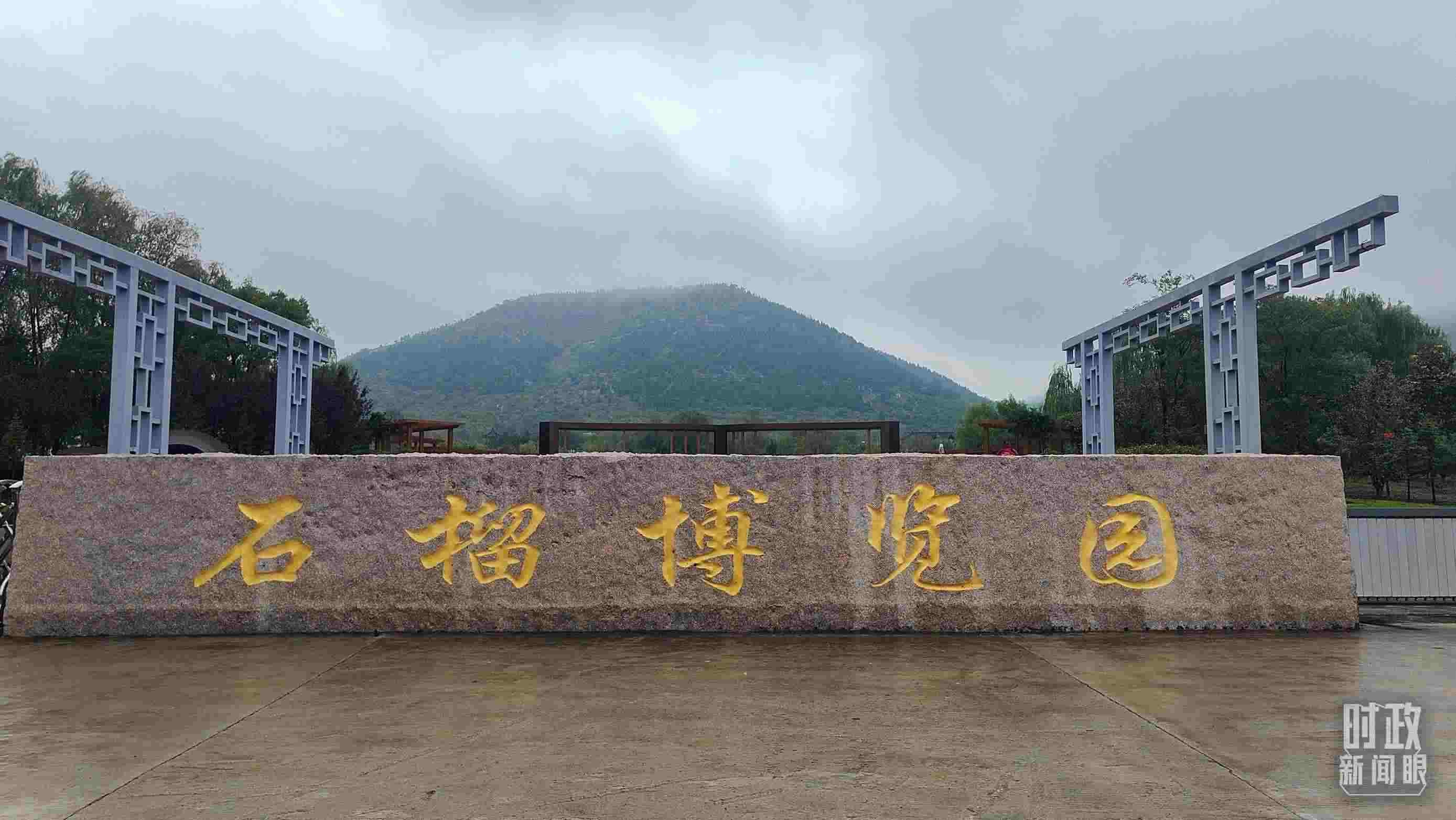 △石榴種質(zhì)資源庫(kù)位于石榴博覽園內(nèi)。（總臺(tái)央視記者楊立峰拍攝）